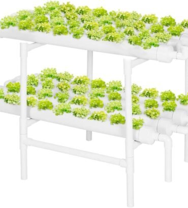 Hydroponic Growing System